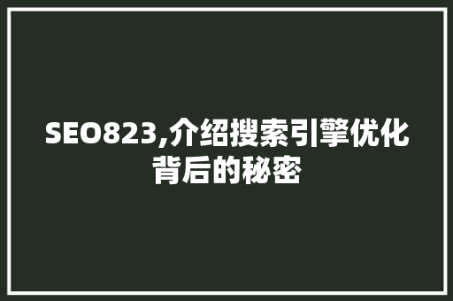 SEO823,介绍搜索引擎优化背后的秘密
