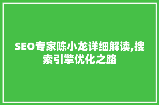 SEO专家陈小龙详细解读,搜索引擎优化之路