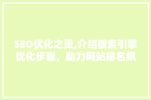 SEO优化之灵,介绍搜索引擎优化步骤，助力网站排名飙升