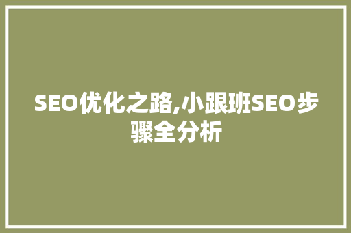 SEO优化之路,小跟班SEO步骤全分析
