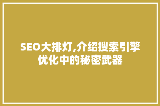SEO大排灯,介绍搜索引擎优化中的秘密武器