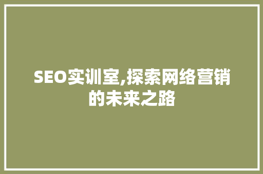 SEO实训室,探索网络营销的未来之路 Web前端