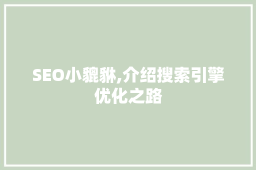 SEO小貔貅,介绍搜索引擎优化之路