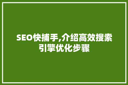 SEO快捕手,介绍高效搜索引擎优化步骤