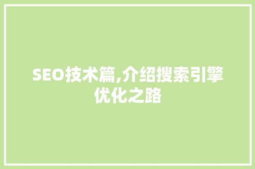 SEO技术篇,介绍搜索引擎优化之路