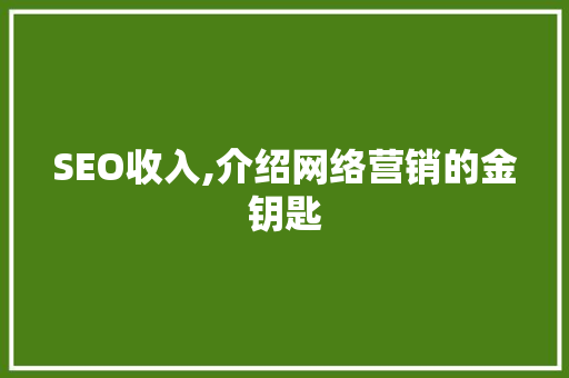 SEO收入,介绍网络营销的金钥匙