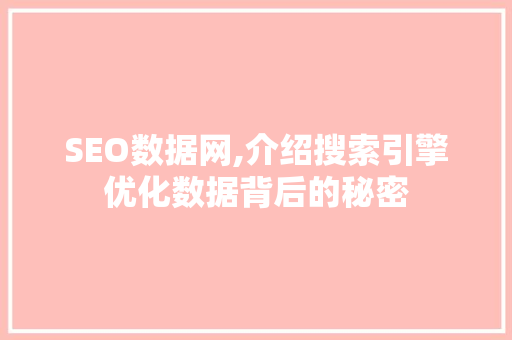 SEO数据网,介绍搜索引擎优化数据背后的秘密 SEO教程