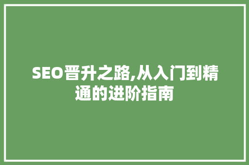 SEO晋升之路,从入门到精通的进阶指南 Web前端
