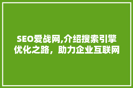 SEO爱战网,介绍搜索引擎优化之路，助力企业互联网营销