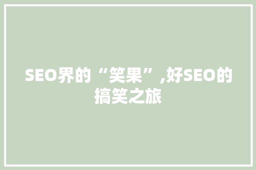 SEO界的“笑果”,好SEO的搞笑之旅