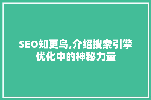 SEO知更鸟,介绍搜索引擎优化中的神秘力量