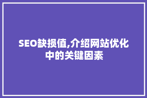 SEO缺损值,介绍网站优化中的关键因素