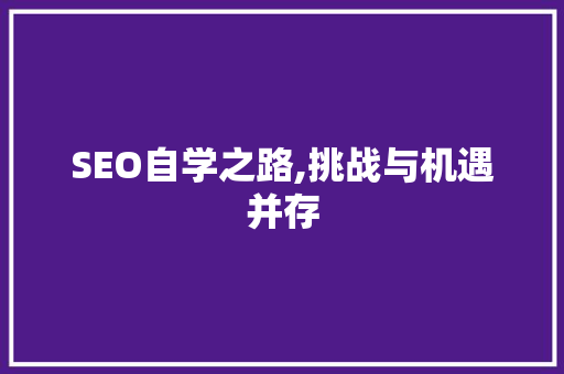 SEO自学之路,挑战与机遇并存