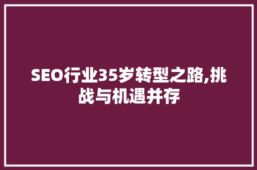 SEO行业35岁转型之路,挑战与机遇并存