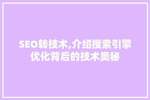 SEO转技术,介绍搜索引擎优化背后的技术奥秘