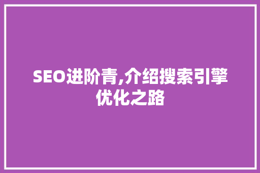 SEO进阶青,介绍搜索引擎优化之路 SEO教程