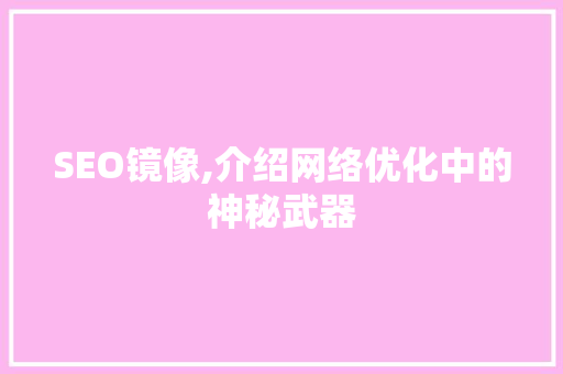 SEO镜像,介绍网络优化中的神秘武器 WordPress教程