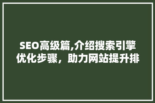SEO高级篇,介绍搜索引擎优化步骤，助力网站提升排名