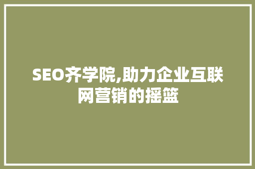 SEO齐学院,助力企业互联网营销的摇篮