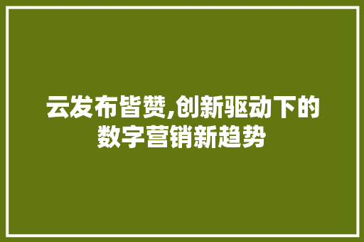 云发布皆赞,创新驱动下的数字营销新趋势