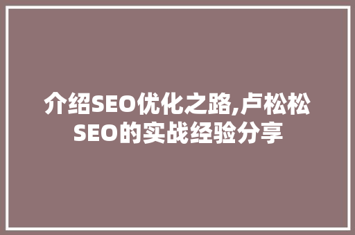 介绍SEO优化之路,卢松松SEO的实战经验分享