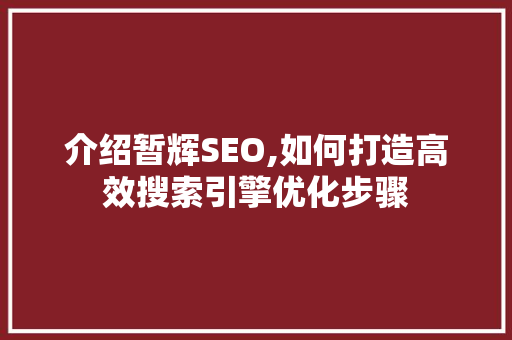 介绍暂辉SEO,如何打造高效搜索引擎优化步骤