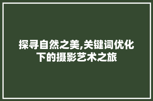 探寻自然之美,关键词优化下的摄影艺术之旅