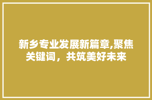 新乡专业发展新篇章,聚焦关键词，共筑美好未来