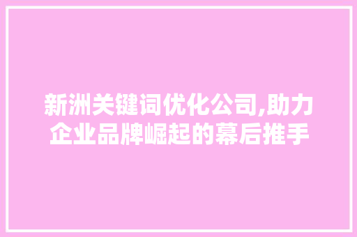 新洲关键词优化公司,助力企业品牌崛起的幕后推手