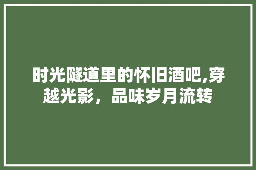 时光隧道里的怀旧酒吧,穿越光影，品味岁月流转