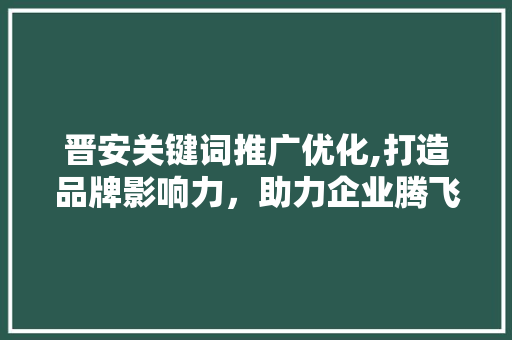 晋安关键词推广优化,打造品牌影响力，助力企业腾飞