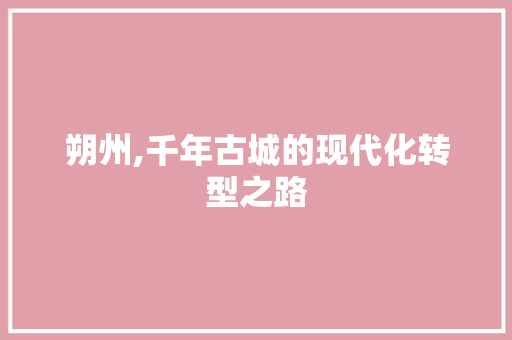 朔州,千年古城的现代化转型之路