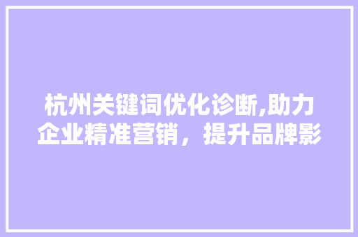 杭州关键词优化诊断,助力企业精准营销，提升品牌影响力
