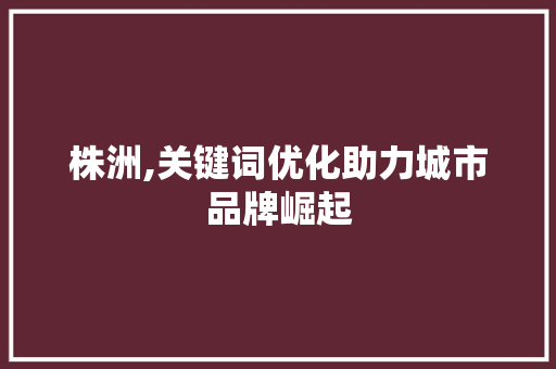 株洲,关键词优化助力城市品牌崛起