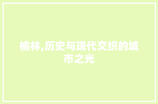 榆林,历史与现代交织的城市之光
