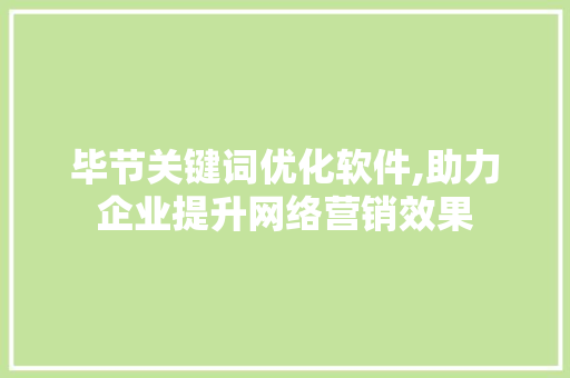毕节关键词优化软件,助力企业提升网络营销效果