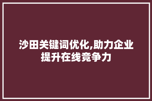 沙田关键词优化,助力企业提升在线竞争力