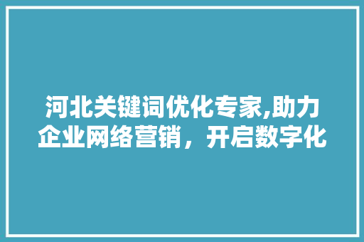 河北关键词优化专家,助力企业网络营销，开启数字化时代新篇章
