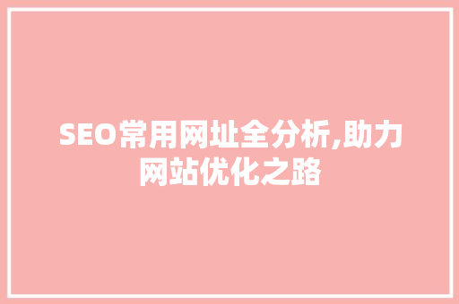 SEO常用网址全分析,助力网站优化之路