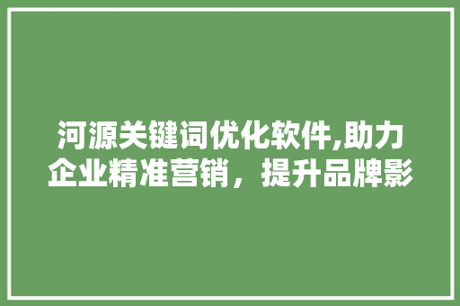 河源关键词优化软件,助力企业精准营销，提升品牌影响力