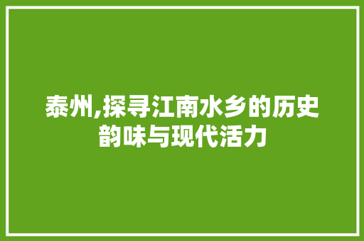 泰州,探寻江南水乡的历史韵味与现代活力