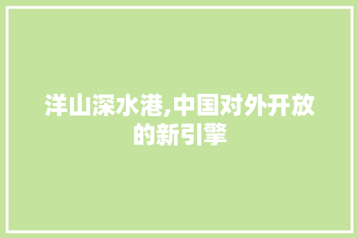 洋山深水港,中国对外开放的新引擎