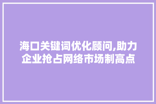 海口关键词优化顾问,助力企业抢占网络市场制高点