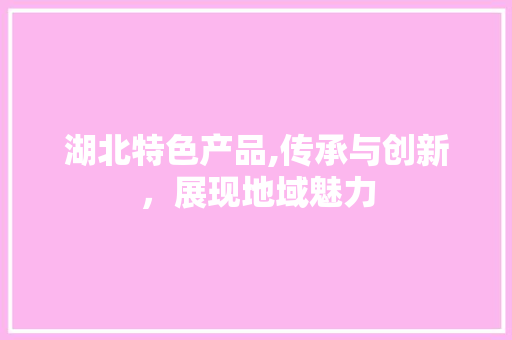 湖北特色产品,传承与创新，展现地域魅力