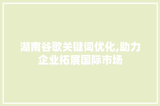 湖南谷歌关键词优化,助力企业拓展国际市场