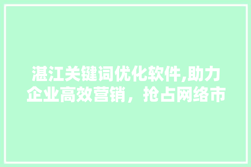 湛江关键词优化软件,助力企业高效营销，抢占网络市场先机