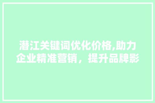 潜江关键词优化价格,助力企业精准营销，提升品牌影响力