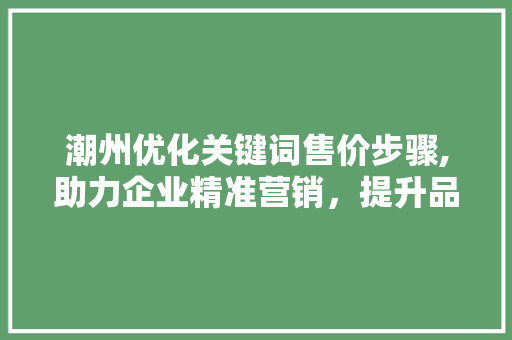 潮州优化关键词售价步骤,助力企业精准营销，提升品牌影响力