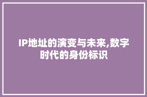 IP地址的演变与未来,数字时代的身份标识