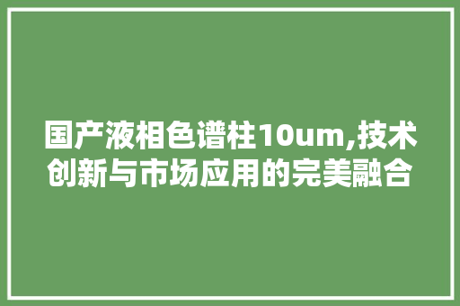国产液相色谱柱10um,技术创新与市场应用的完美融合